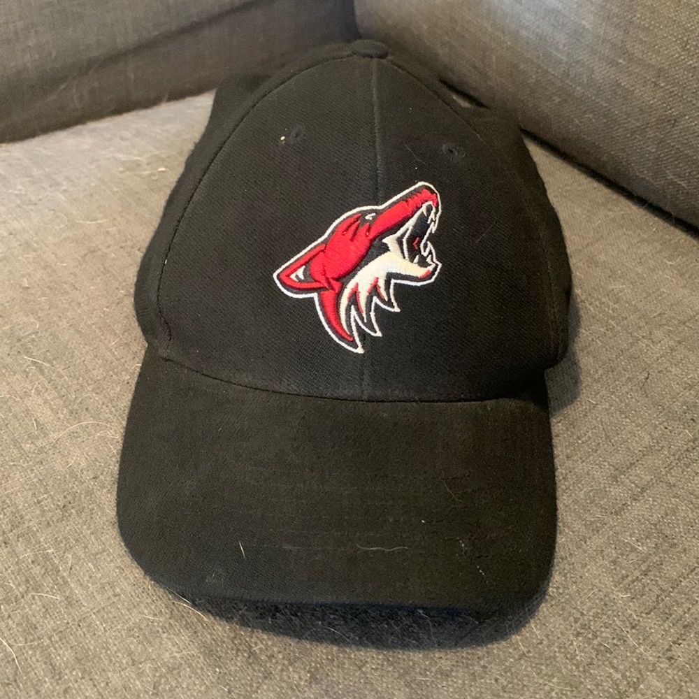 Phoenix Coyotes vintage sports cap